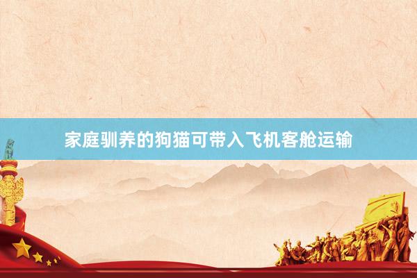 家庭馴養(yǎng)的狗貓可帶入飛機客艙運輸