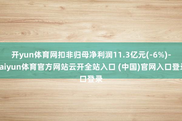 開yun體育網扣非歸母凈利潤11.3億元(-6%)-kaiyun體育官方網站云開全站入口 (中國)官網入口登錄