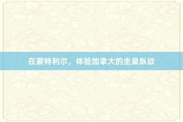 在蒙特利爾，體驗加拿大的圭臬縱欲