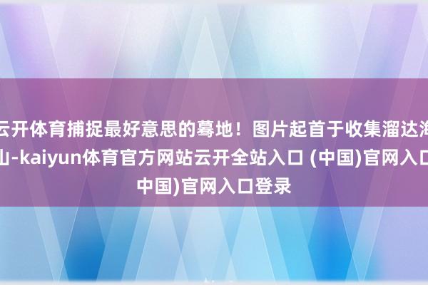 云開體育捕捉最好意思的驀地！圖片起首于收集溜達海上名山-kaiyun體育官方網站云開全站入口 (中國)官網入口登錄